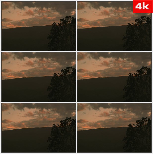 4K0130夕阳下树的剪影 高清实拍视频素材
