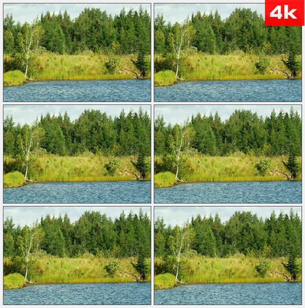 4K0141微风湖水灌木岸边草地树木自然美景 高清实拍视频素材