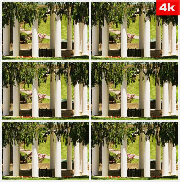 4K0174树荫下的凉亭 高清实拍视频素材