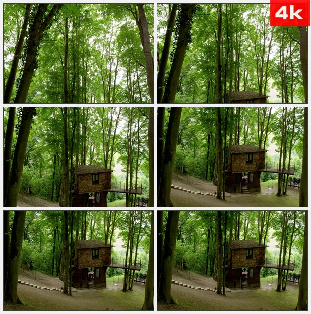 4K0176树林中的小木屋 高清实拍视频素材