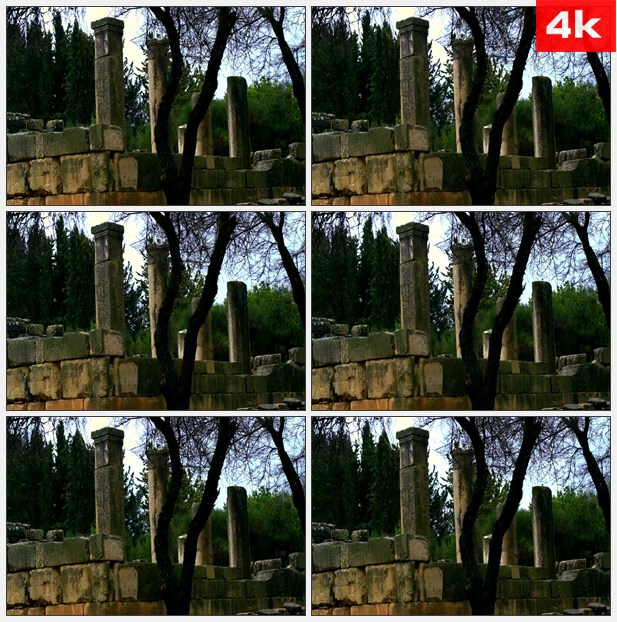 4K0185石柱和树枝随风飘动 高清实拍视频素材