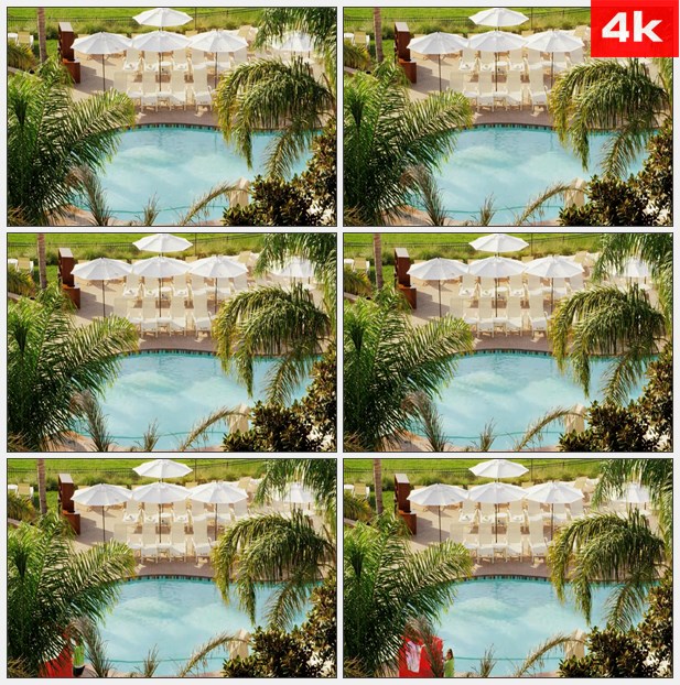 4K0246热带度假村的游泳池 高清实拍视频素材