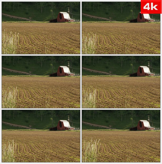 4K0276农田房屋乡村农场 高清实拍视频素材