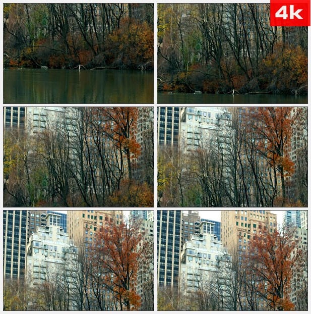 4K0285摩天大楼旁边的小河树木 高清实拍视频素材