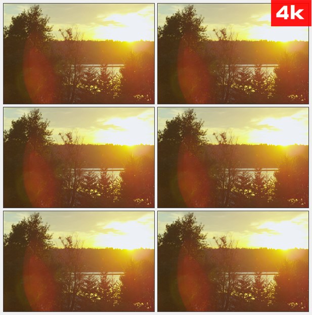 4K0374橘黄色的太阳照耀着树枝 高清实拍视频素材