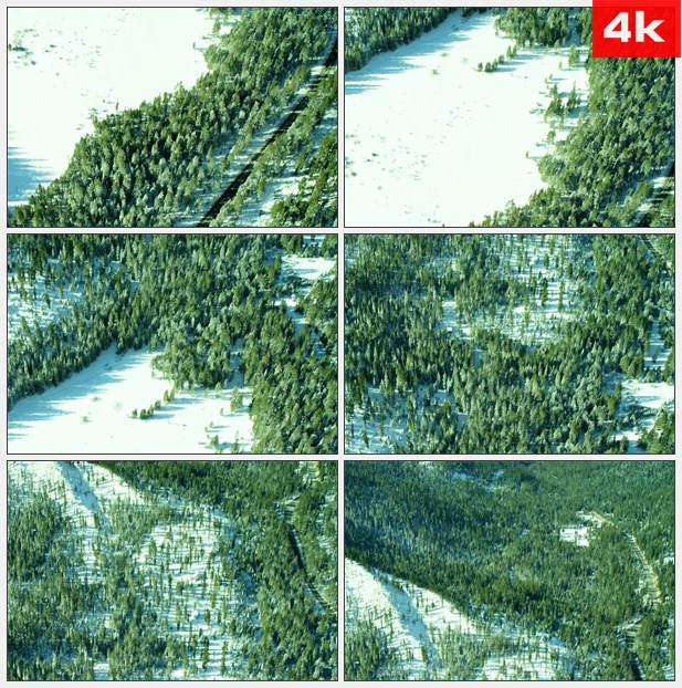 4K0467航拍大雪后的深林 高清实拍视频素材