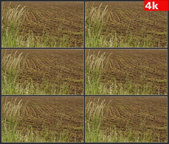 4K0532耕种的农田土壤 高清实拍视频素材