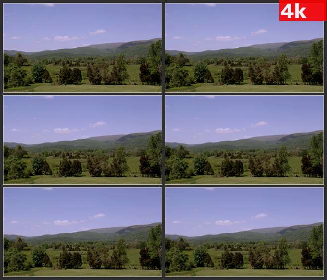 4K0641草坪和稀疏的树林 高清实拍视频素材