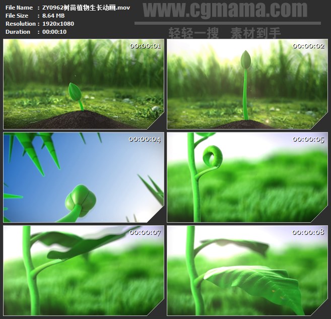 ZY0962树苗植物生长动画高清实拍视频素材