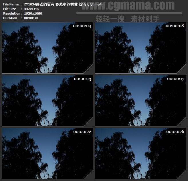 ZY1034静谧的夏夜 夜幕中的树林 蓝色天空高清实拍视频素材