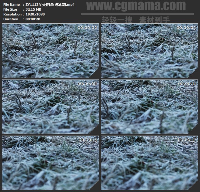 ZY1112冬天的草地冰霜高清实拍视频素材