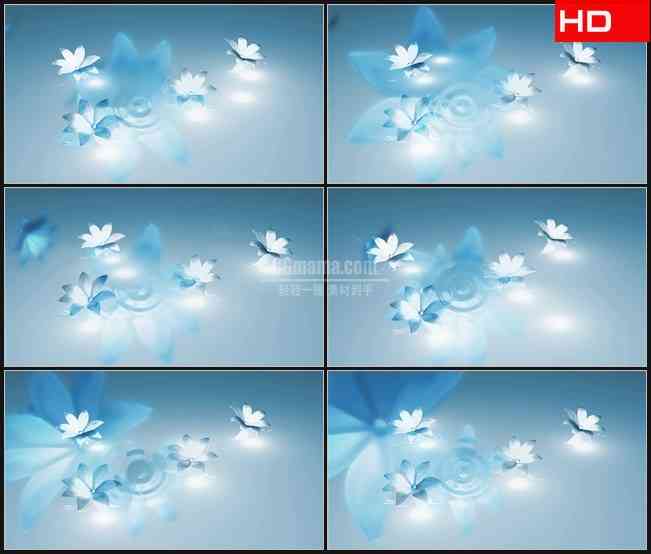 BG0242-淡蓝色冰花朵绽放高清LED视频背景素材