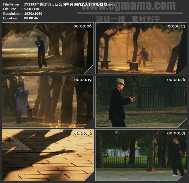 ZY1193中国北京天坛公园里晨练的老人打太极舞剑高清实拍视频素材