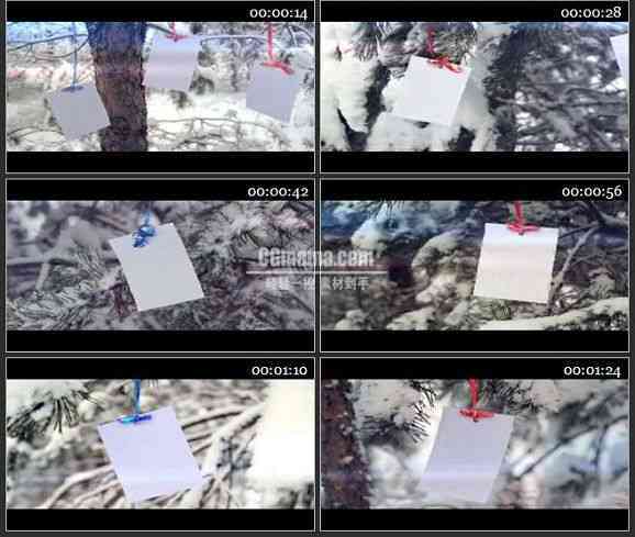 AE1120-雪中的松树林 图片展示相册