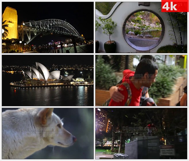 4K0712[4K高清演示片] 澳大利亚袋鼠风景 高清LED视频背景素材