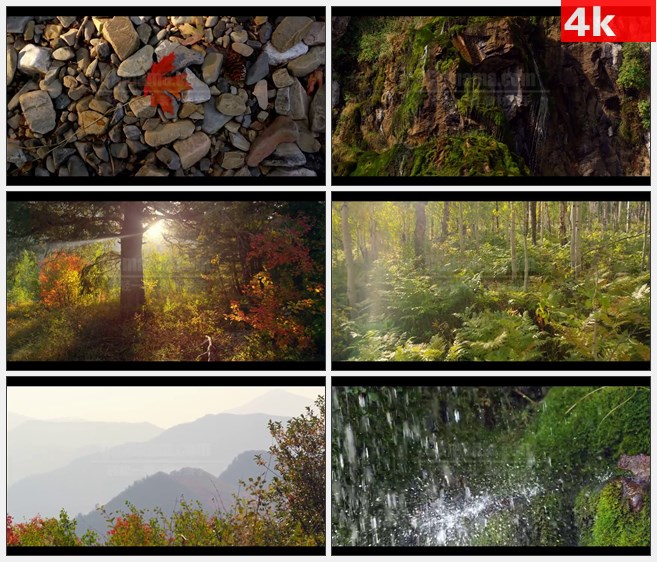 4K0714[4K高清演示片] 纯净的大自然树林枫叶阳光大树瀑布 高清实拍视频素材