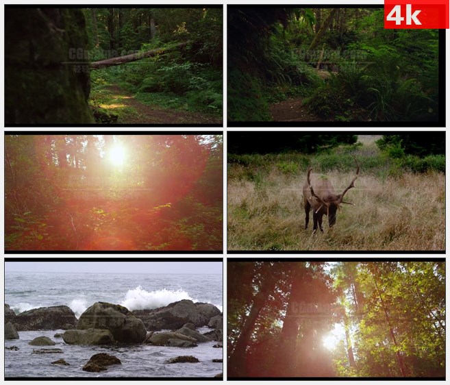 4K0715[4K高清演示片] 红木国家公园 高清实拍视频素材