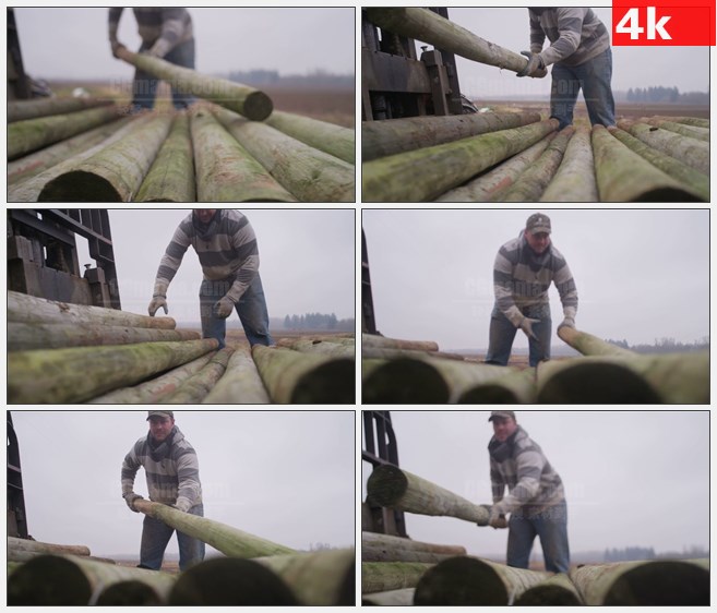 4K0780搬运木材圆木工人高清实拍视频素材