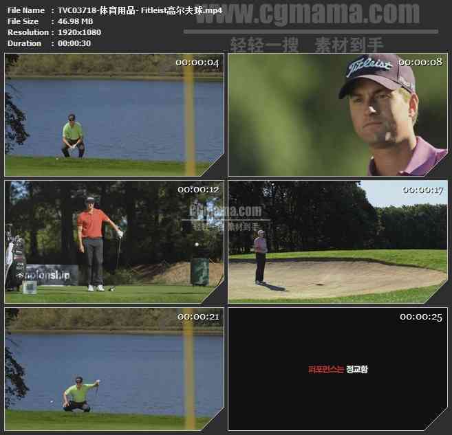 TVC03718-体育用品- Fitleist高尔夫球
