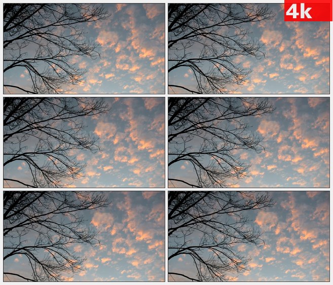 4K0907粉红色云朵晚霞赤裸树枝枯枝自然美景高清实拍视频素材
