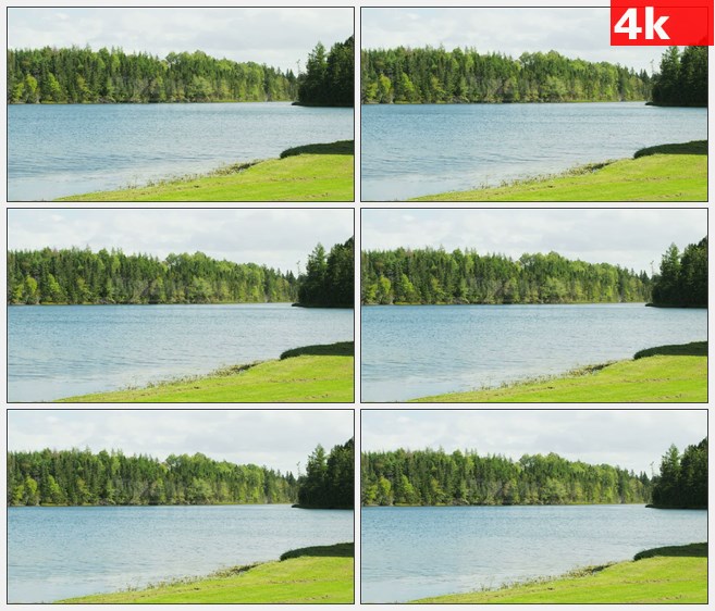 4K1011湖滨纳帕谷草地树林河流高清实拍视频素材
