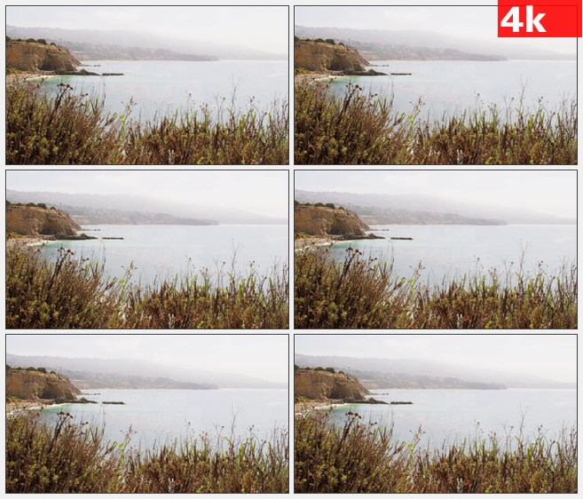 4K0962海岸港口礁石灌木高清实拍视频素材
