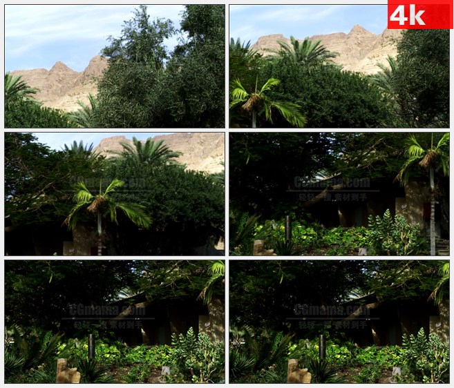 4K1024荒山山丘灌木棕榈树高清实拍视频素材