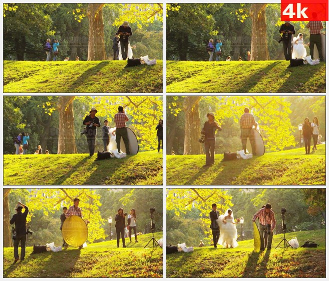 4K1033婚纱照摄影师公园草地大树高清实拍视频素材