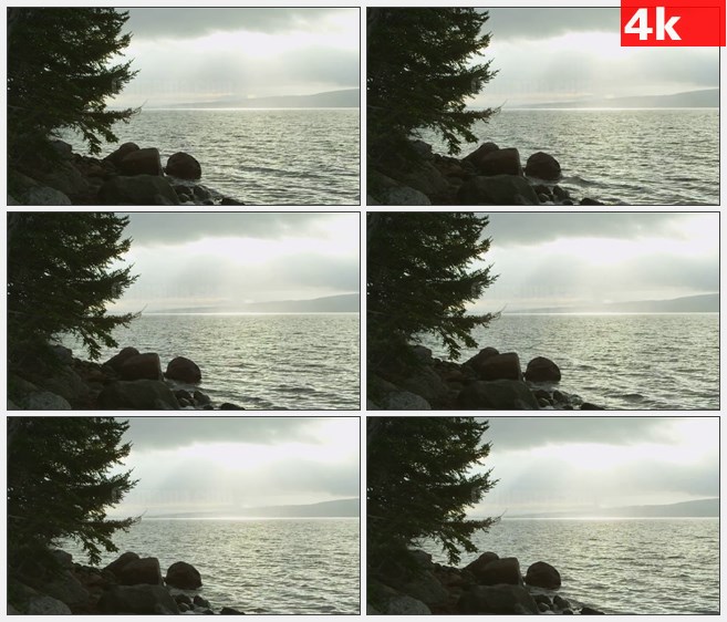 4K0974海浪冲击岩石树木繁茂的新斯科舍海岸高清  实拍视频素材