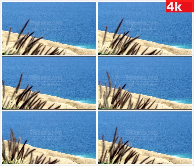4K0980海滩沙漠海水灌木高清实拍视频素材