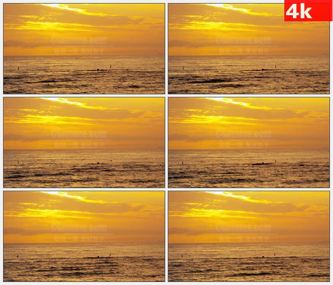 4K1056金色夕阳日落南加州海岸自然美景高清实拍视频素材
