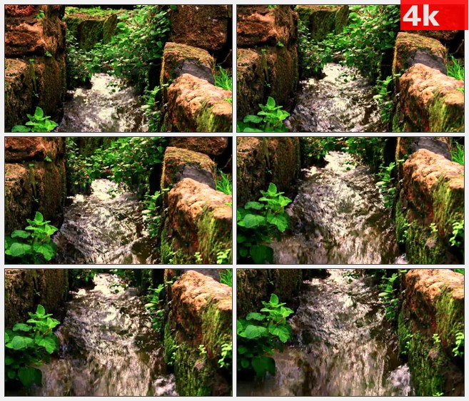 4K1119绿色植物灌木溪流水渠高清实拍视频素材