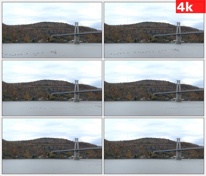 4K1168美国哈得逊河上的纽约桥高清实拍视频素材