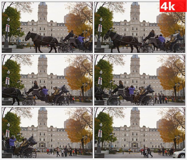 4K1175美国魁北克市观光马车黑马拉车高清实拍视频素材