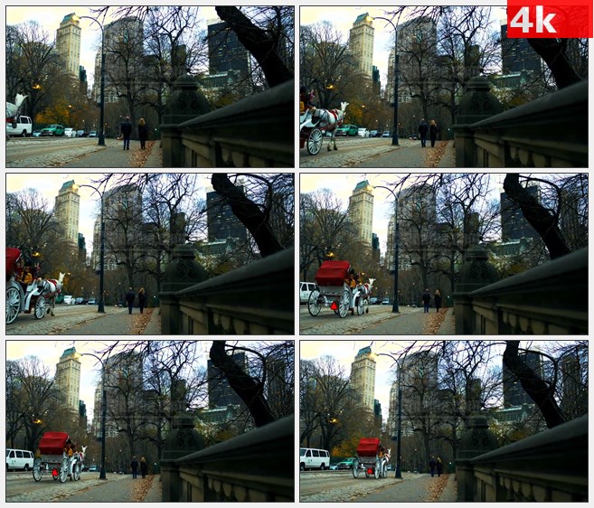 4K1192美国纽约市街道场景行人马车石桥高清实拍视频素材