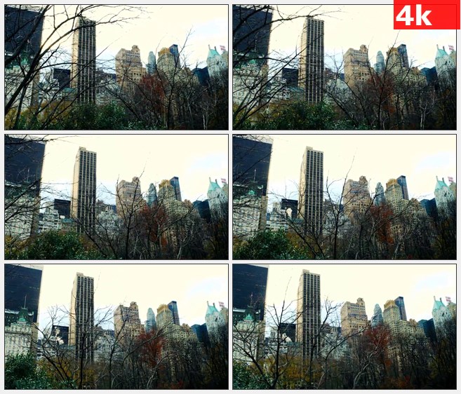 4K1198美国纽约市摩天大楼低角度树枝移动镜头高清实拍视频素材