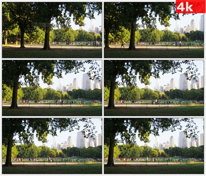 4K1202美国纽约市中央公园高清实拍视频素材