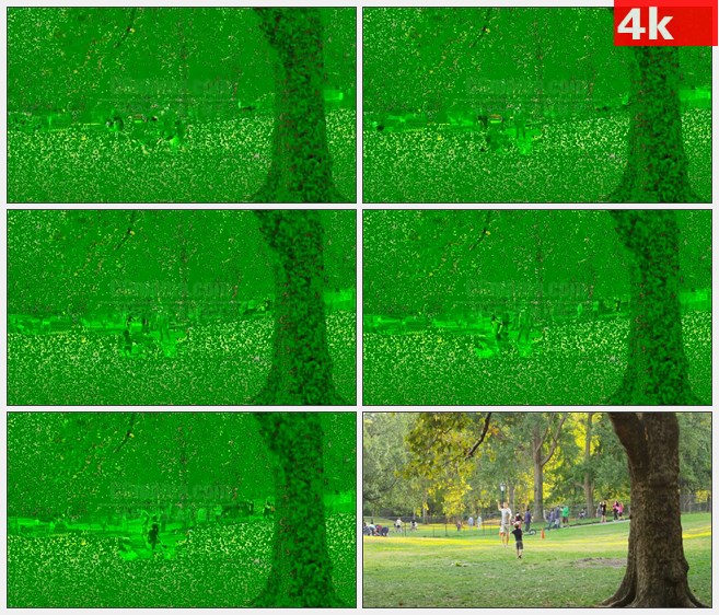 4K1217美国中央公园父亲和儿子玩球高清实拍视频素材