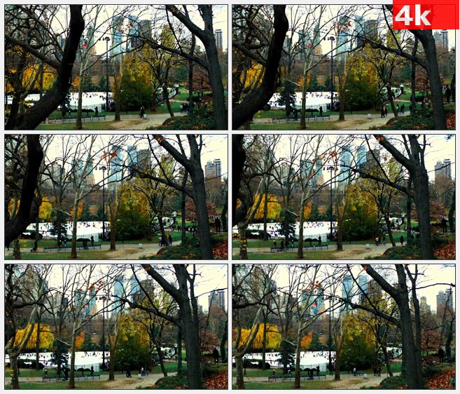 4K1218美国中央公园游人场景高清实拍视频素材