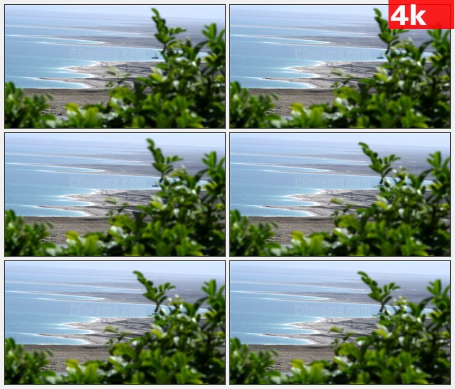4K1224朦胧绿色植物树木海洋海滩背景风景高清实拍视频素材