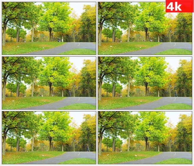 4K1231蒙特利尔公园人们跑步晨练高清实拍视频素材