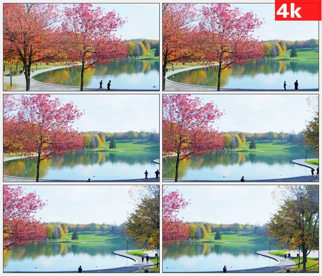 4K1233蒙特利尔湖边秋天晨练跑步高清实拍视频素材