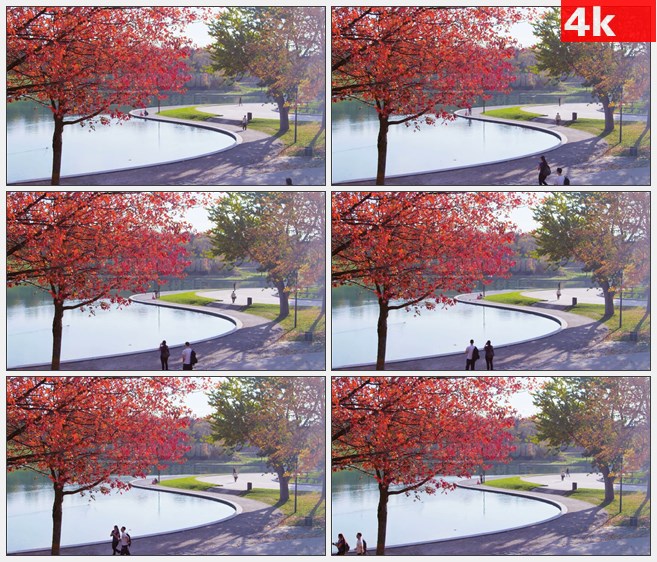 4K1235蒙特利尔湖秋天红色树木高清实拍视频素材
