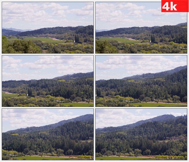 4K1242纳帕谷景观树林草地航拍高清实拍视频素材