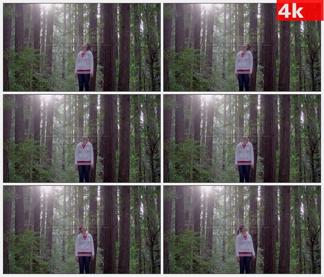 4K1282女旅行者慕名而来欣赏红木树高清实拍视频素材