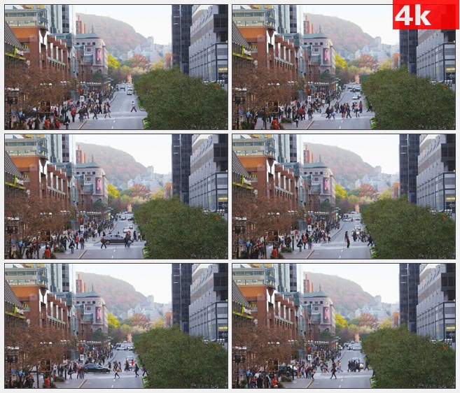 4K1286欧美街道行人高清实拍视频素材