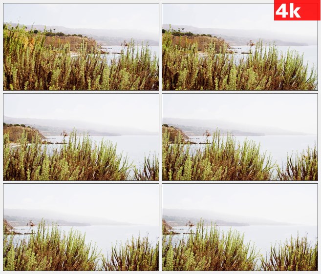 4K1295帕洛斯 佛得角海岸海水灌木高清实拍视频素材
