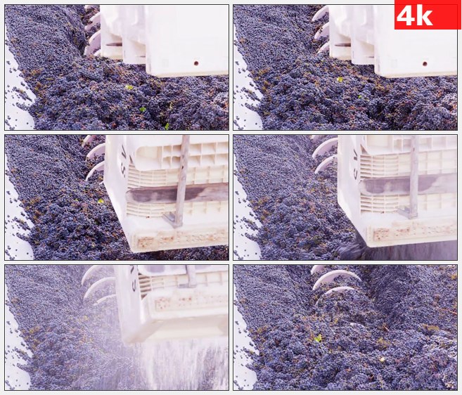4K1303葡萄加工破碎搅拌机高清实拍视频素材