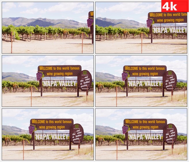 4K1305葡萄园葡萄架高清实拍视频素材