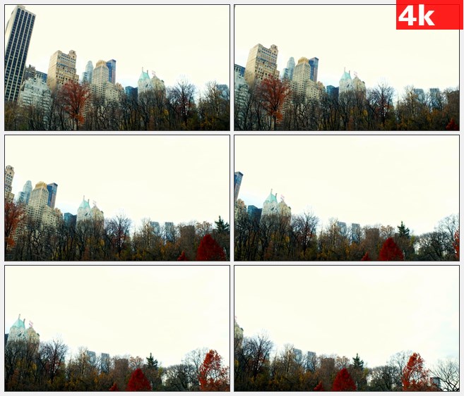 4K1324秋天美国纽约市的摩天大楼树木低角度拍摄高清实拍视频素材